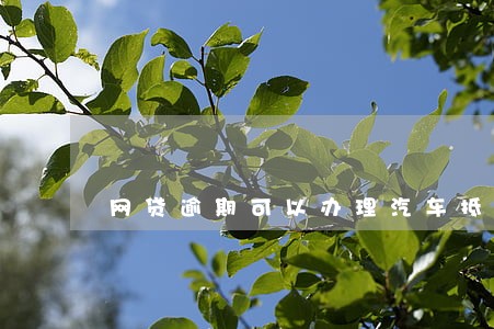 网贷逾期可以办理汽车抵押吗 网贷逾期可以办理汽车抵押吗