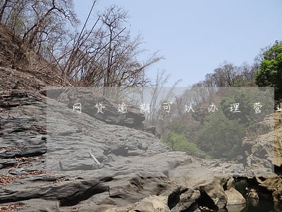 网贷逾期可以办理营业执照么 网贷逾期可以办理营业执照么