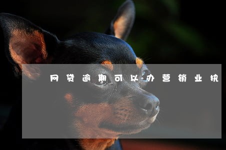 网贷逾期可以办营销业执照 网贷逾期可以办营销业执照