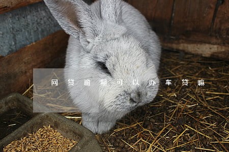 网贷逾期可以办车贷嘛