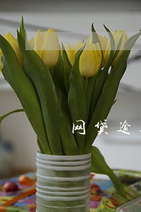 网贷逾期可以加入美团么 网贷逾期可以加入美团么