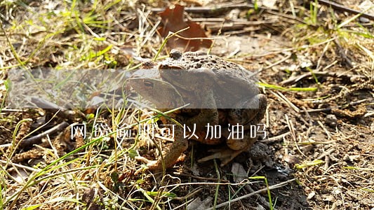 网贷逾期可以加油吗 网贷逾期可以加油吗