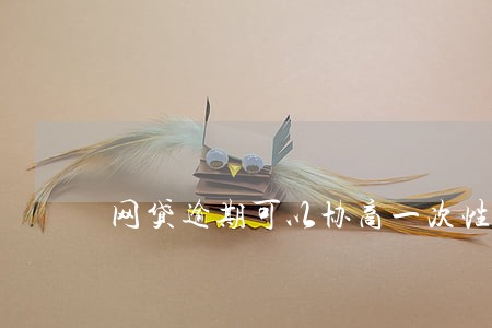 网贷逾期可以协商一次性还本金