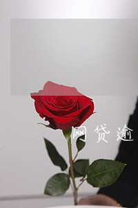 网贷逾期可以协商么 网贷逾期可以协商么