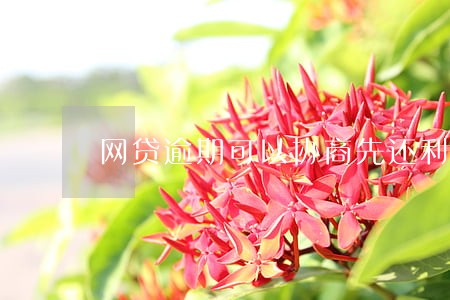 网贷逾期可以协商先还利息么 网贷逾期可以协商先还利息么