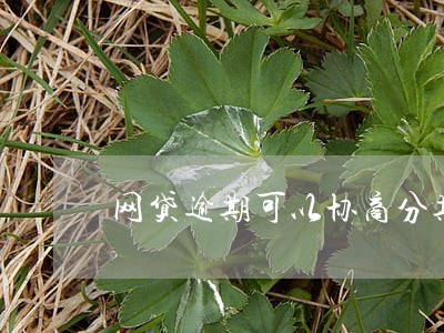 网贷逾期可以协商分期偿还吗 网贷逾期可以协商分期偿还吗