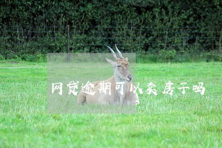 网贷逾期可以卖房子吗 网贷逾期可以卖房子吗