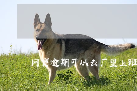 网贷逾期可以去厂里上班吗 网贷逾期可以去厂里上班吗