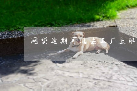 网贷逾期可以去工厂上班吗 网贷逾期可以去工厂上班吗