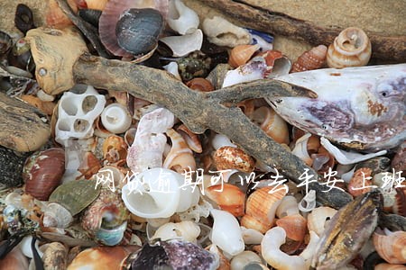 网贷逾期可以去平安上班吗 网贷逾期可以去平安上班吗