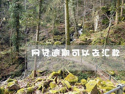 网贷逾期可以去汇款 网贷逾期可以去汇款