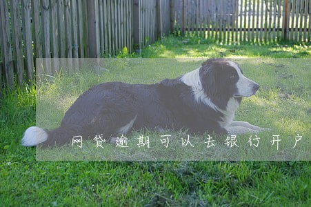 网贷逾期可以去银行开户吗