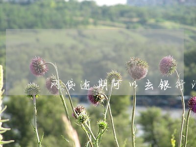 网贷逾期可以去银行消除吗