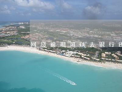 网贷逾期可以去银行还嘛 网贷逾期可以去银行还嘛