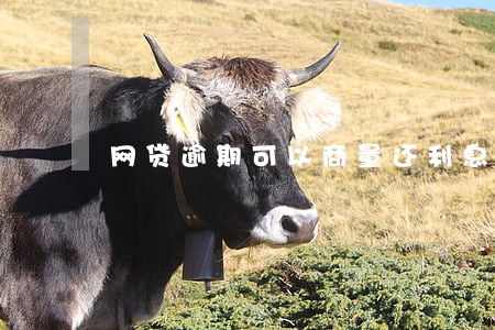 网贷逾期可以商量还利息吗 网贷逾期可以商量还利息吗