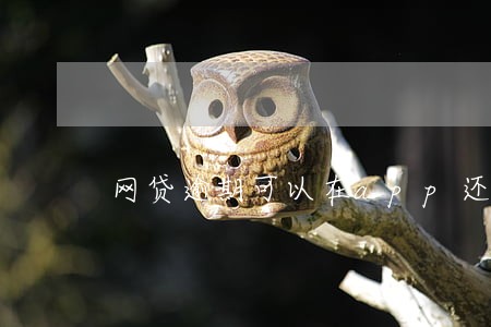 网贷逾期可以在app还款吗 网贷逾期可以在app还款吗