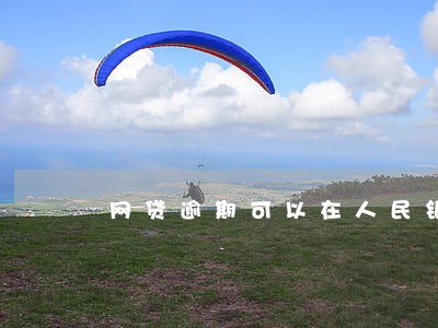 网贷逾期可以在人民银行处理吗 网贷逾期可以在人民银行处理吗