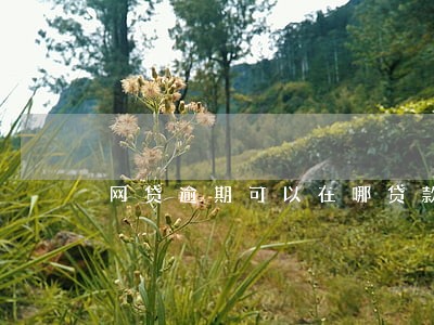 网贷逾期可以在哪贷款一千块 网贷逾期可以在哪贷款一千块