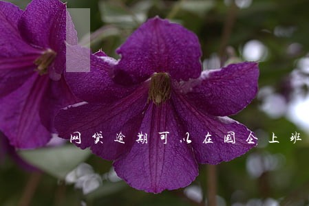 网贷逾期可以在国企上班吗 网贷逾期可以在国企上班吗
