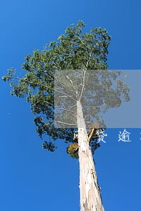 网贷逾期可以在抖音做直播吗 网贷逾期可以在抖音做直播吗