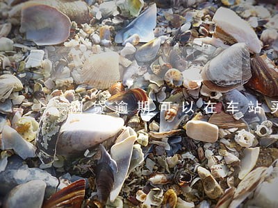 网贷逾期可以在车站买高铁票吗 网贷逾期可以在车站买高铁票吗