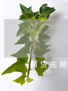 网贷逾期可以坐动车吗 网贷逾期可以坐动车吗