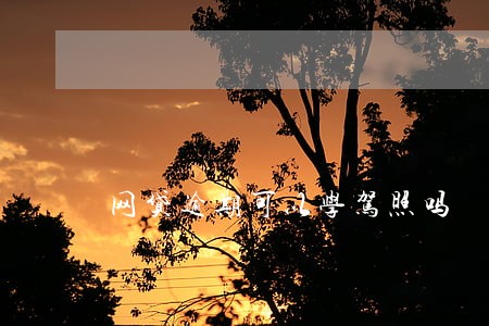 网贷逾期可以学驾照吗
