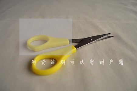 网贷逾期可以寄到户籍 网贷逾期可以寄到户籍