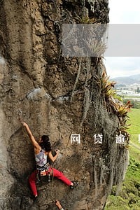 网贷逾期可以帮人担保 网贷逾期可以帮人担保