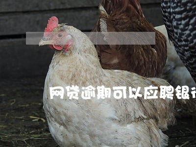 网贷逾期可以应聘银行吗 网贷逾期可以应聘银行吗