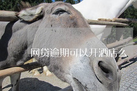网贷逾期可以开酒店么 网贷逾期可以开酒店么