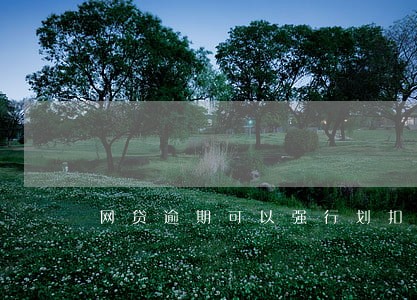 网贷逾期可以强行划扣吗 网贷逾期可以强行划扣吗