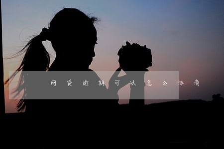 网贷逾期可以怎么协商 网贷逾期可以怎么协商