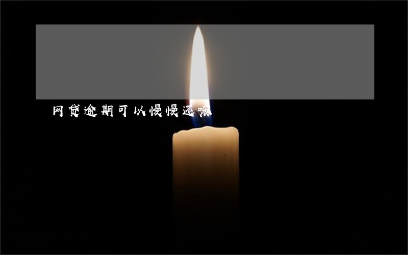 网贷逾期可以慢慢还嘛 网贷逾期可以慢慢还嘛