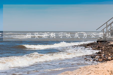 网贷逾期可以成为公司股东吗 网贷逾期可以成为公司股东吗
