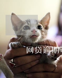 网贷逾期可以打去村委会的吗