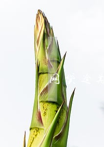网贷逾期可以执行财产清算 网贷逾期可以执行财产清算