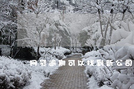 网贷逾期可以找到新公司吗 网贷逾期可以找到新公司吗