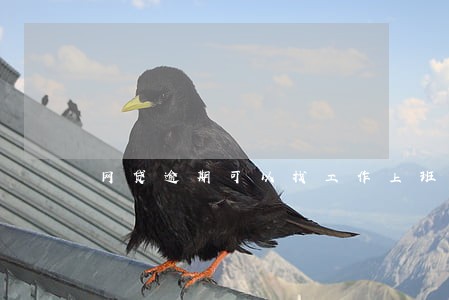 网贷逾期可以找工作上班吗 网贷逾期可以找工作上班吗
