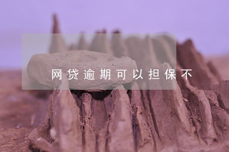 网贷逾期可以担保不 网贷逾期可以担保不