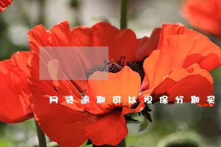 网贷逾期可以担保分期买车吗 网贷逾期可以担保分期买车吗