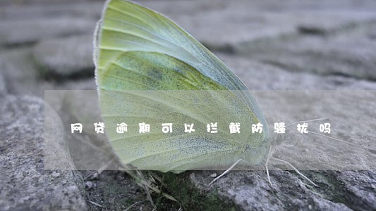 网贷逾期可以拦截防骚扰吗 网贷逾期可以拦截防骚扰吗