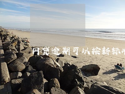 网贷逾期可以按新标准还款吗 网贷逾期可以按新标准还款吗