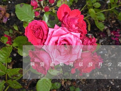 网贷逾期可以按月少还吗
