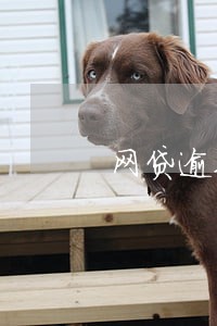 网贷逾期可以换驾驶证吗 网贷逾期可以换驾驶证吗