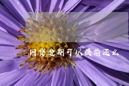 网贷逾期可以提前还么 网贷逾期可以提前还么