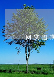 网贷逾期可以提前还款吗 网贷逾期可以提前还款吗