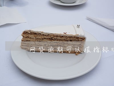 网贷逾期可以摇指标吗 网贷逾期可以摇指标吗