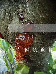 网贷逾期可以撤销吗 网贷逾期可以撤销吗