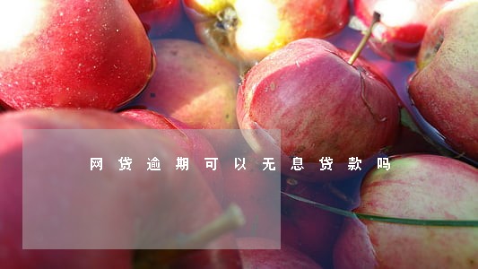网贷逾期可以无息贷款吗